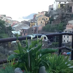 Giuliano Affittacamere